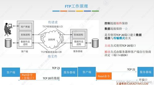 計算機網絡應用層 計算機系統服務深度解析